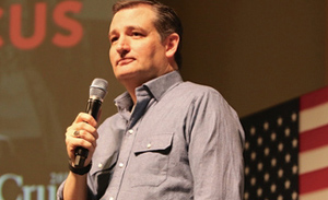 Senator Ted Cruz