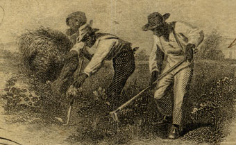 Confederate bank note showing slavery