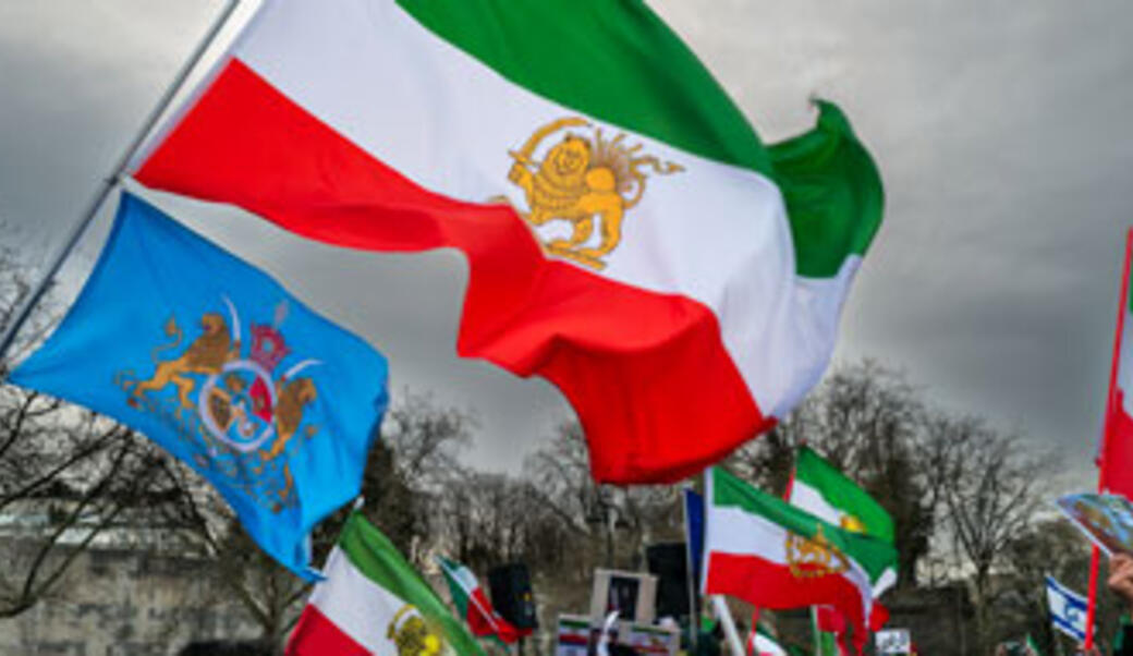 Flags of protestors in Paris, January 2026