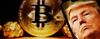Image of Donald Trump on cell phone with gold and a gold bitcoin in the background